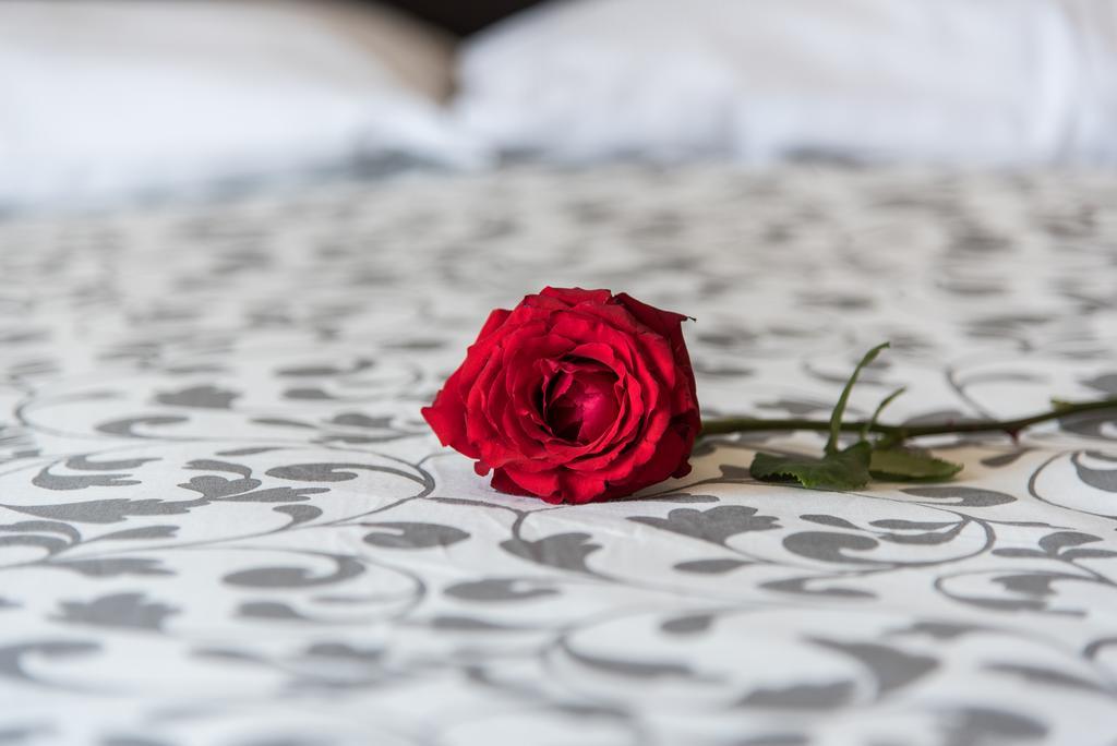 Guest House Park Валмонтоне Екстериор снимка
